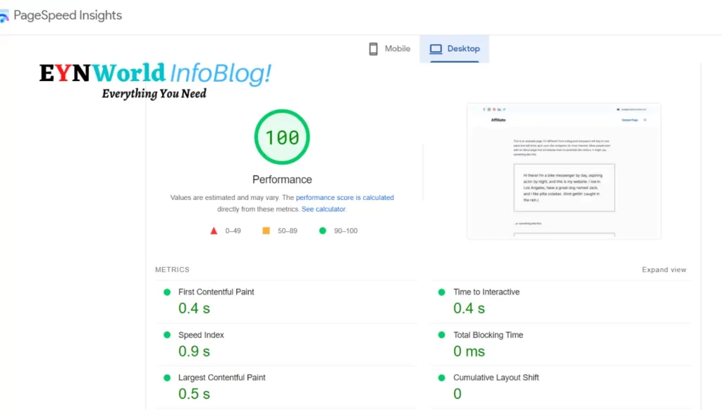 Page Speed Insights report Rishi Theme review 2022